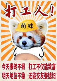 小熊貓的特殊任務技巧
