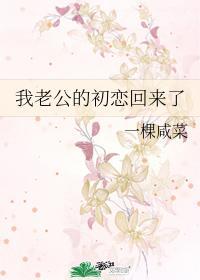 我老公的初戀回來了