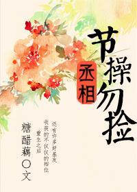 丞相，節操勿撿