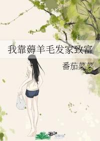 我靠薅羊毛發家致富