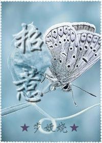 招惹