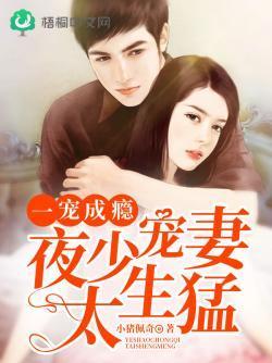 一寵成瘾:夜少寵妻太生猛