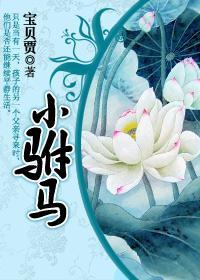小驸馬