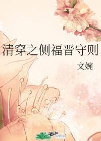 清穿之側福晉守則