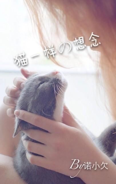 貓一樣的想念