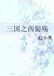 三國之西蜀殇