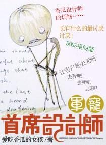 軍寵——首席設計師