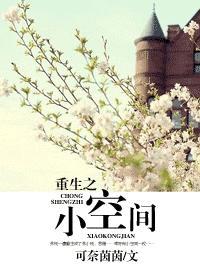 重生之小空間