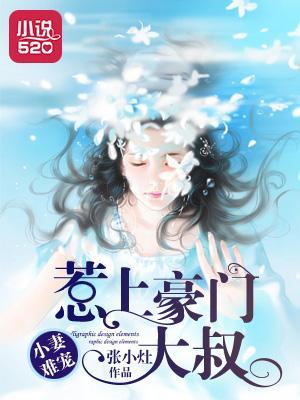 小妻難寵:惹上豪門大叔