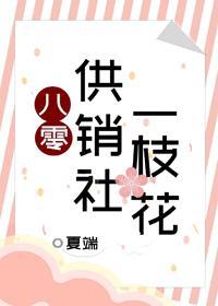 八零供銷社一枝花