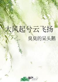 大風起兮雲飛揚