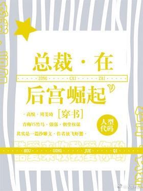 總裁在後宮崛起