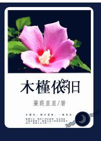 木槿依舊