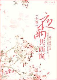 夜雨共西窗（女尊）