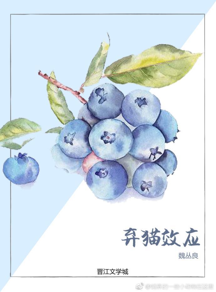 棄貓效應