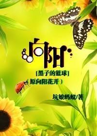 [黑子的籃球]向陽（原向陽花開）