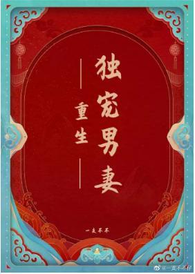 重生獨寵男妻