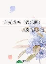 寵妻成瘾(娛樂圈)