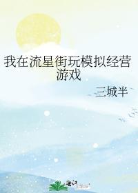 我在流星街玩模拟經營游戲