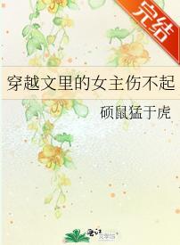 穿越文裏的女主傷不起
