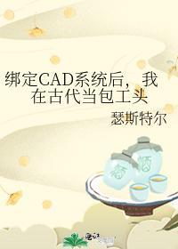 綁定CAD系統後，我在古代當包工頭
