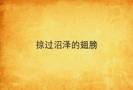 掠過沼澤的翅膀