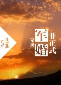 非正式軍婚（軍旅）