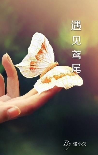 遇見鳶尾