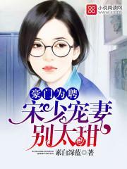 豪門為聘:宋少寵妻別太甜