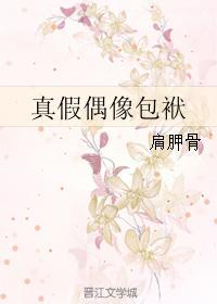 真假偶像包袱