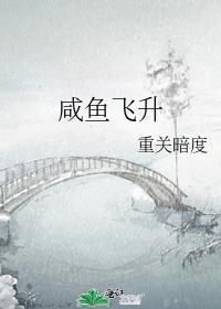 鹹魚飛升