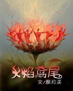 火焰鳶尾