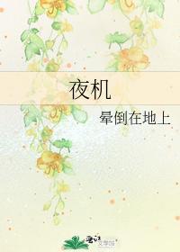夜機