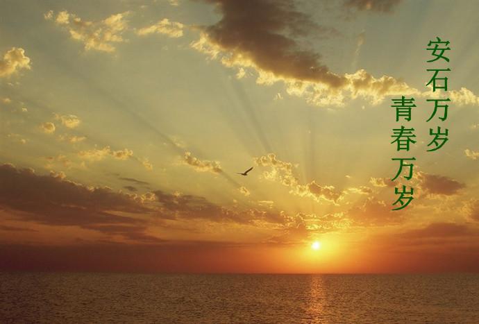 安石萬歲，青春萬歲