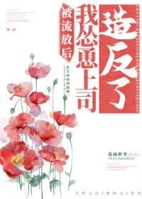 被流放後我慫恿上司造反了