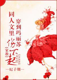 [家教]穿到瑪麗蘇同人文裏傷不起
