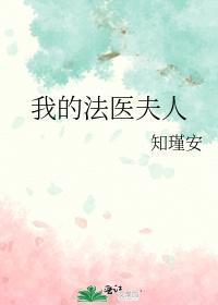 我的法醫夫人