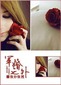 軍婚之外