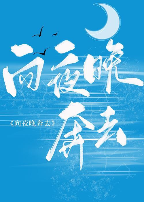 向夜晚奔去