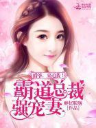 霸道總裁強寵妻:爵爺,來追我!