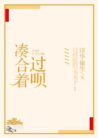 湊合着過呗