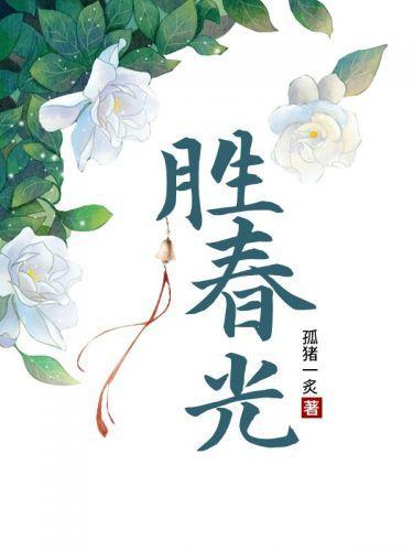 指揮使大人的相好