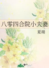 八零四合院小夫妻