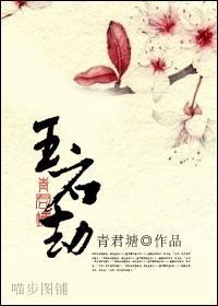玉石劫