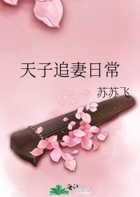 天子追妻日常
