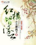 紅樓皆浮雲