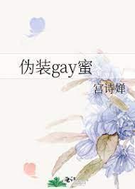 僞裝gay蜜