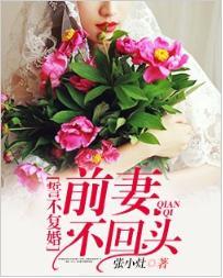 誓不複婚:前妻不回頭