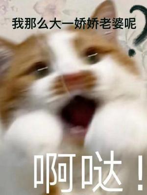我那麽大一嬌嬌老婆呢