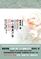 火爆丫鬟:杠上腹黑少爺
